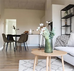 Photo 2. House, Elmehusene, Hasselager 