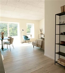 Photo 10. House, Elmehusene, Hasselager 