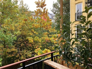 Photo 7. Room, Nørrebrogade, København N 