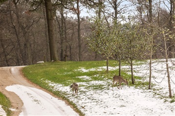 Photo 2. House, Lillesøvej, Hørsholm 