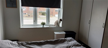 Photo 3. Apartment, Vandlingvej, Haderslev 