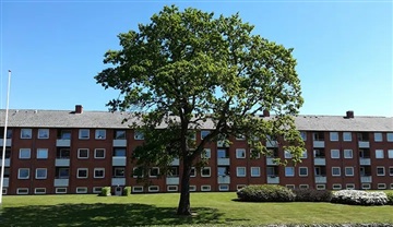 Photo 1. Apartment, Gormsvej, Herning 