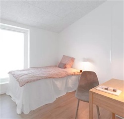 Photo 5. House, Elmehusene, Hasselager 