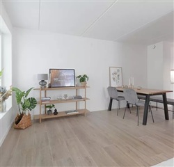 Photo 2. House, Elmehusene, Hasselager 