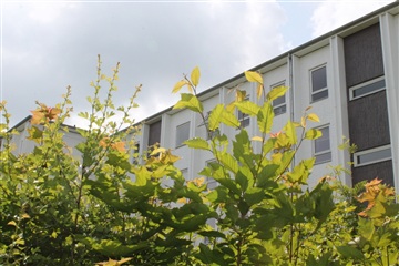 Photo 11. Apartment, Arendalsvej, Silkeborg 