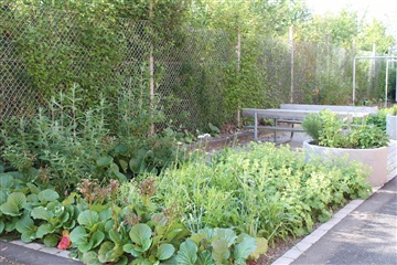 Photo 4. Apartment, Hejrevej, Silkeborg 