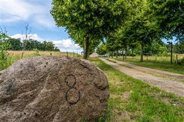 Billede 12. Hus/villa, , Skævinge 
