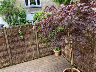 Photo 23. House, H.P. Ørums Gade, København Ø 