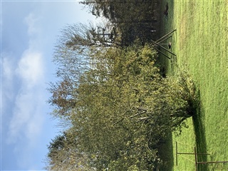 Photo 8. Apartment, Gl Præstegårdsvej, Løsning 