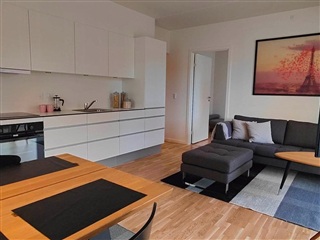Photo 1. Apartment, Gartnerbyen, Odense V 