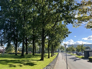 Billede 3. Lejlighed, Varbergvej, Haderslev 