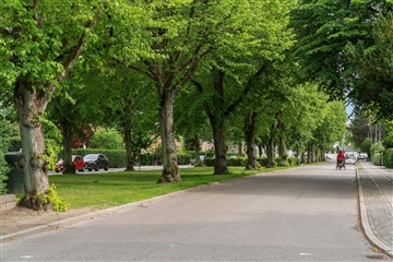 Billede 27. Lejlighed, Femte Juni Plads, Frederiksberg 