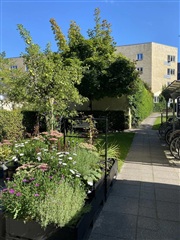 Billede 23. Lejlighed, Ågade, Aalborg 