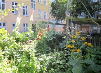 Photo 7. Room, Wesselsgade, København N 