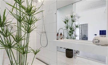 Billede 15. Lejlighed, Islands Brygge, København S 