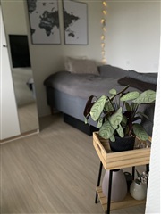 Billede 3. Lejlighed, Bogensevej, Odense N 