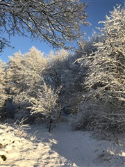 Photo 31. House, Kirkemindevej, Them 