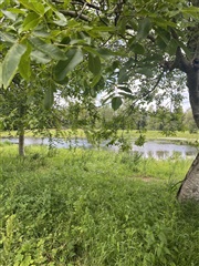 Photo 27. House, Kirkemindevej, Them 