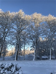 Photo 32. House, Kirkemindevej, Them 