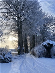 Photo 33. House, Kirkemindevej, Them 