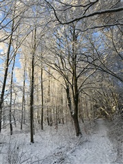 Photo 30. House, Kirkemindevej, Them 