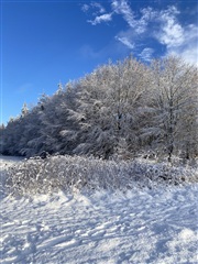 Photo 34. House, Kirkemindevej, Them 