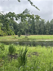 Photo 29. House, Kirkemindevej, Them 