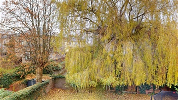 Billede 36. Hus/villa, Rathsacksvej, Frederiksberg C 