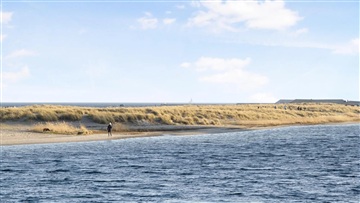 Billede 24. Lejlighed, Øresundsvej, København S 