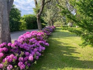 Photo 29. House, Stavnsholtvej, Farum 