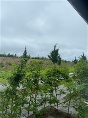 Billede 4. Lejlighed, Åsvej, Solrød Strand 