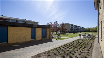 Billede 8. Lejlighed, Bangsbovej, Frederikshavn 