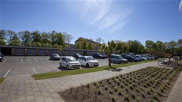 Billede 13. Lejlighed, Bangsbovej, Frederikshavn 