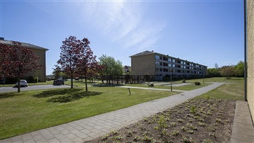 Billede 4. Lejlighed, Bangsbovej, Frederikshavn 