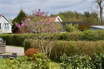 Billede 15. Hus/villa, Birkedalsvej, Allerød 