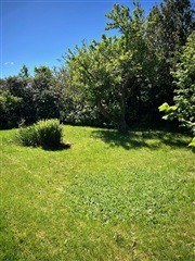 Billede 7. Hus/villa, Stjernevej, Hornbæk 