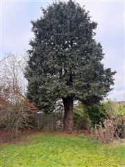 Photo 18. House, Stjernevej, Hornbæk 
