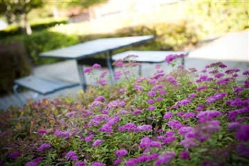 Photo 2. Apartment, Østermarksvej, Terndrup 