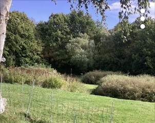 Photo 5. House, Resdal Bakke, Silkeborg 