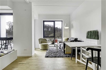 Photo 4. Apartment, Promenadebyen, Odense C 