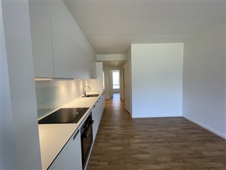 Photo 1. Apartment, Gartnerbyen, Odense V 