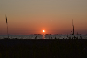 Photo 19. Apartment, Næsvej, Assens 