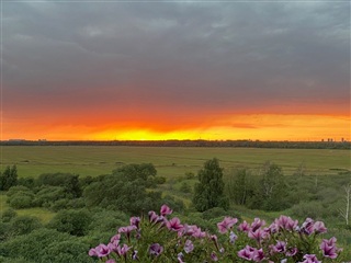 Billede 19. Lejlighed, Else Alfelts Vej, København S 