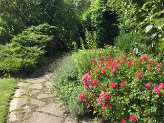 Photo 7. House, Klintevej, Kerteminde 