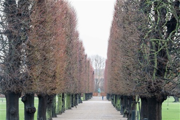 Photo 13. Apartment, Landemærket, København K 