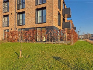 Photo 12. Apartment, Guldsmedestien, Nivå 