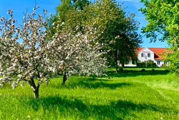 Photo 2. Shared accommodation, Dageløkkevej, Humlebæk 
