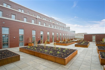 Photo 9. Apartment, Honningvænget, Tilst 