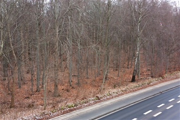 Photo 29. Apartment, Pennehave, Rungsted Kyst 