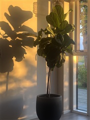 Photo 13. House, Overvænget, Randers NV 